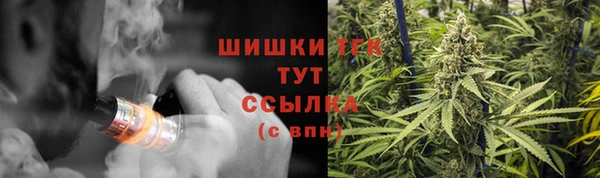 соль ск Абаза