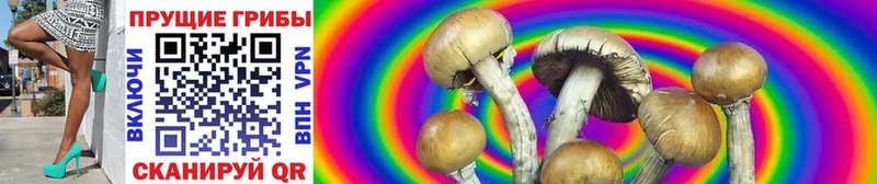 Псилоцибиновые грибы Psilocybine cubensis Скопин